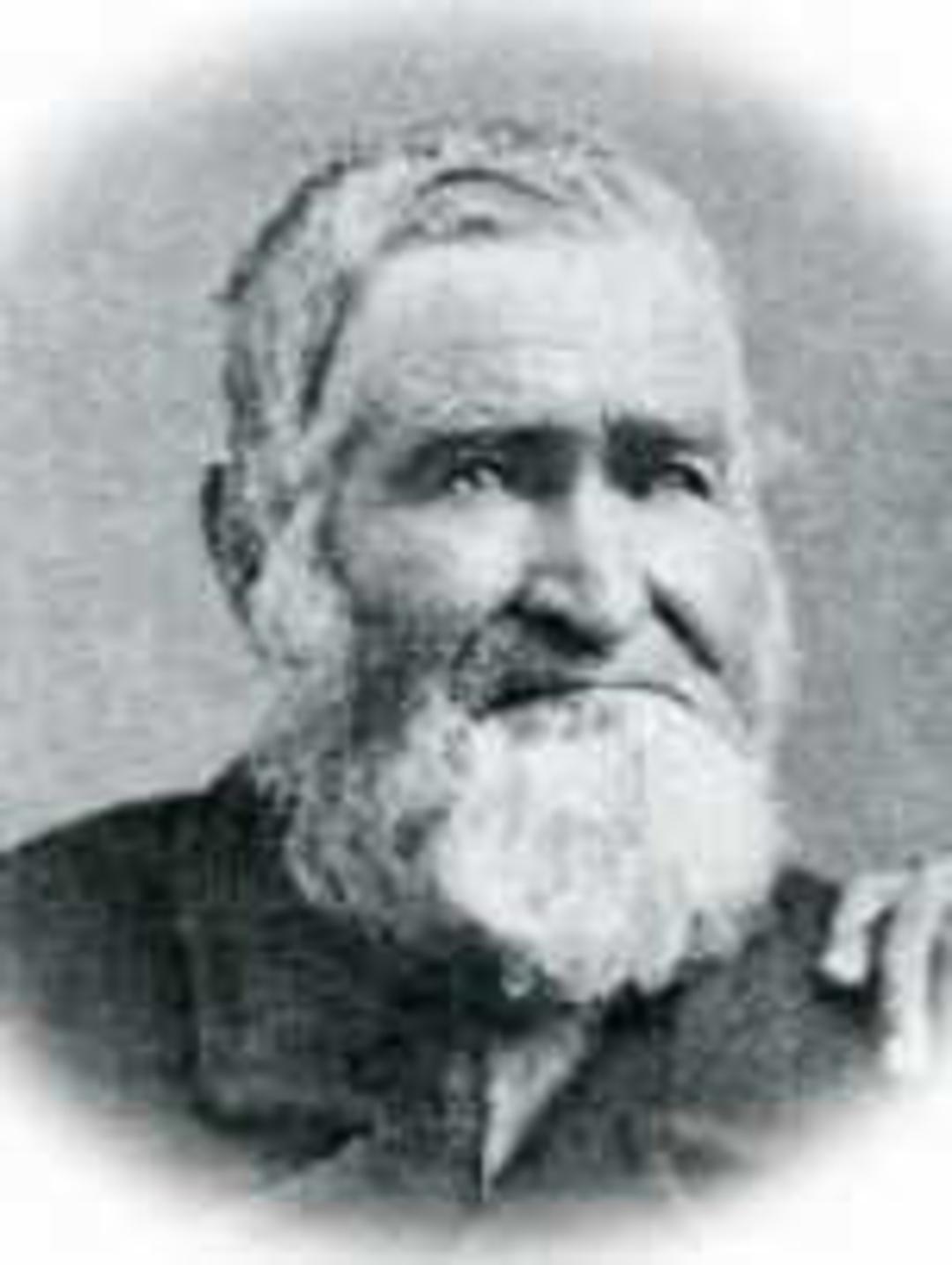 Nelson Higgins (1806 - 1890) Profile